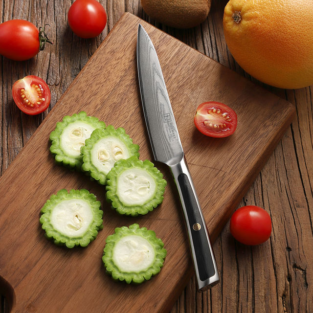 KEEMAKE-5 Inch Utility Knife G10 Handle 67 Layers Damascus Steel Kitchen Knife with Gift Box