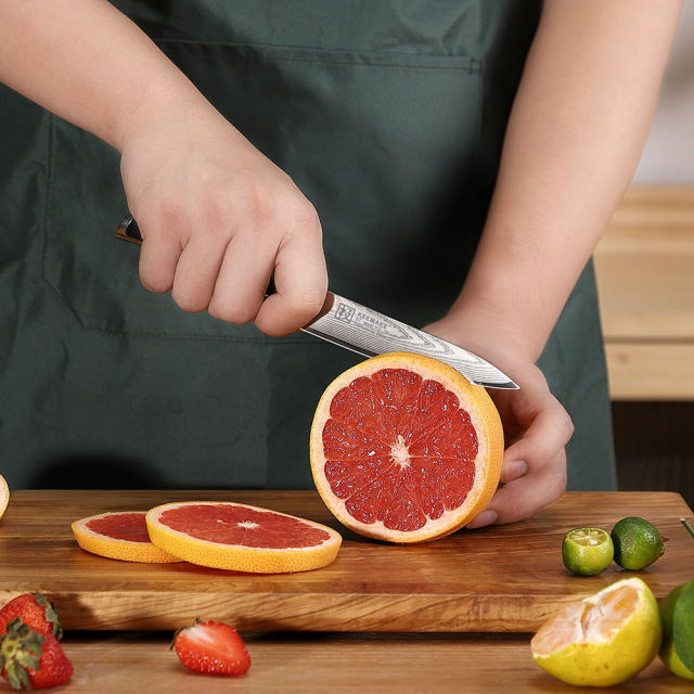 KEEMAKE-5 Inch Utility Knife G10 Handle 67 Layers Damascus Steel Kitchen Knife with Gift Box