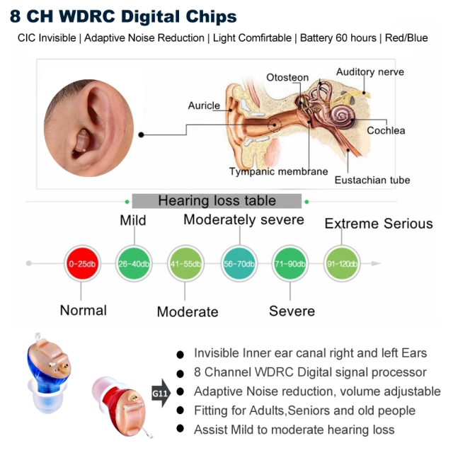 A Pair Cic Digital Hearing Aids Amplifier Invisible in Canal Ear Mini Hearing Sound Enhancer Noise Cancelling Personal Sound Voice Hearing Amplifier