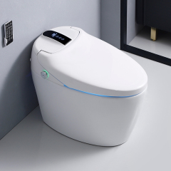 Ceramic Floor Mounted One Piece Wc Toilet Bowl Sale Soft Cover White Seat Style Pattern Bathroom