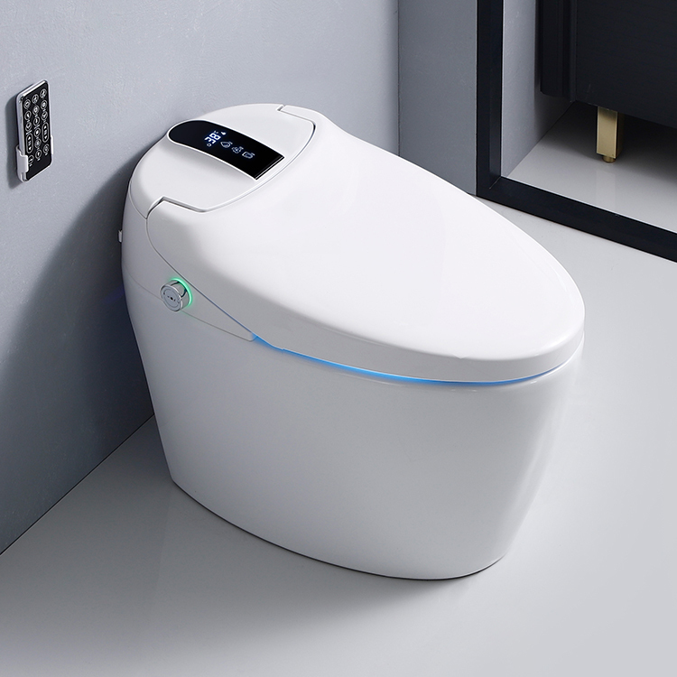 Ceramic Floor Mounted One Piece Wc Toilet Bowl Sale Soft Cover White Seat Style Pattern Bathroom