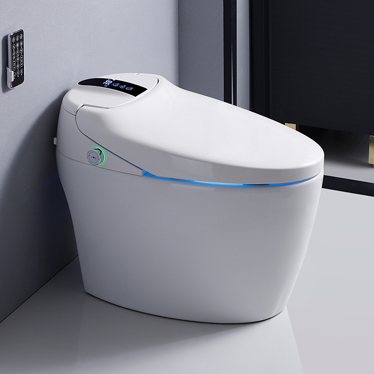 Ceramic Floor Mounted One Piece Wc Toilet Bowl Sale Soft Cover White Seat Style Pattern Bathroom