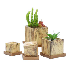 Cement Succulent Flower Pot Nordic Style Simple Gardening Marble Flower Pots Decorations for home