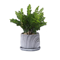 Marble pattern Nordic style cement personality flower pots bonsai cactus plant container home decor accessories