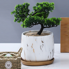 Balcony desktop indoor home decoration cement bonsai succulent cactus marble flower pot with tray flower pots &amp; planters