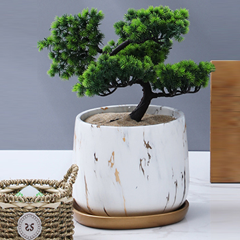 Balcony desktop indoor home decoration cement bonsai succulent cactus marble flower pot with tray flower pots & planters