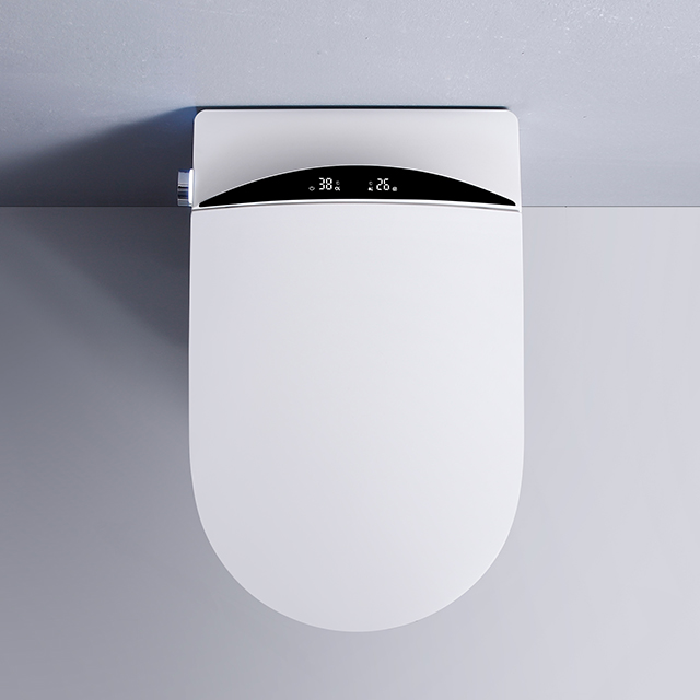 Modern ceramic two piece bathroom smart toilet manual and automatic multifunction