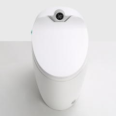 Ceramic One Piece Bathroom Smart Toilet Radar Make in China Modern Ceramic Toilet WC Smart Toliets Water Flush Fitting CE