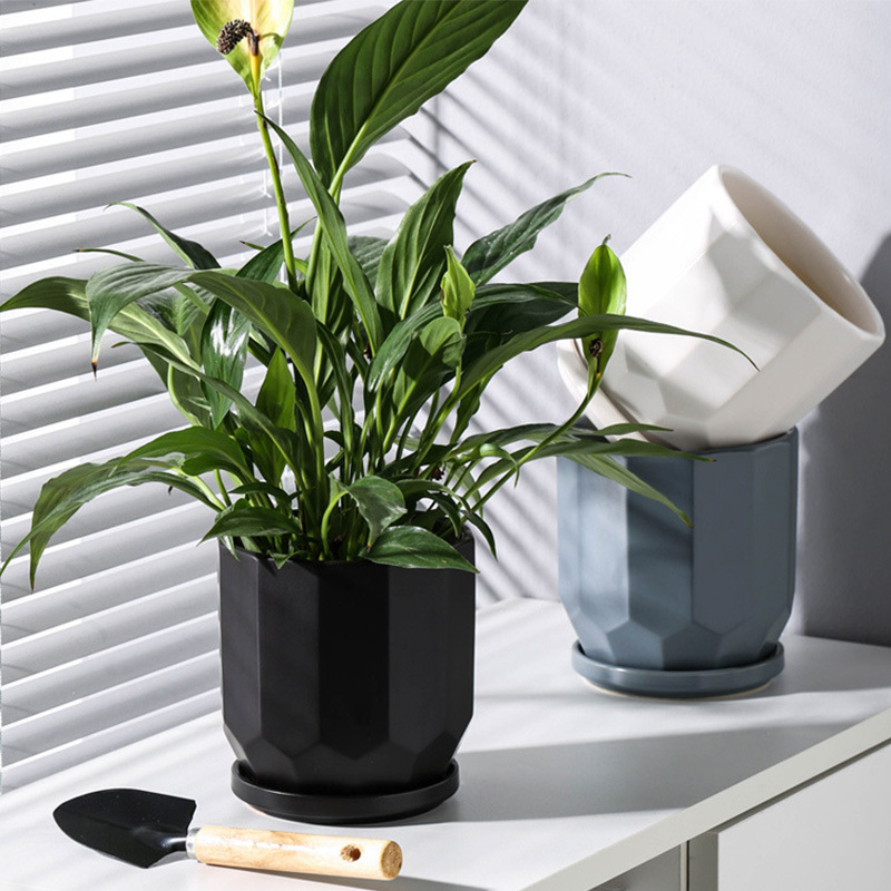 Green plant ceramic flowerpot European style simple household green radish fleshy spider plant with tray flowerpot