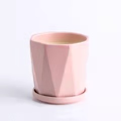 Nordic Succulents Ceramic Flower Pots Succulent Personality Office Simple Ceramic Potted Plants