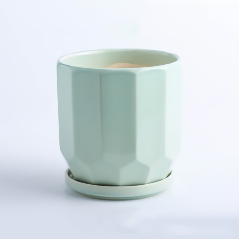 Nordic succulent flowerpot ceramic personality potted indoor cactus flowerpot