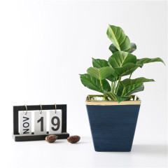 Ceramic Pot for Plant Stripes Embossed Matte Gold Plating Home Decorative Item