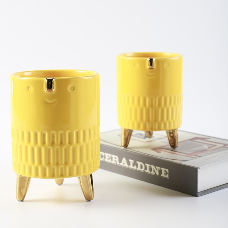 Modern Flower Pots Face Pot Flower Succulent Flower Pots for Living Room