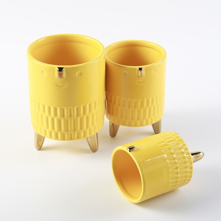 Modern Flower Pots Face Pot Flower Succulent Flower Pots for Living Room