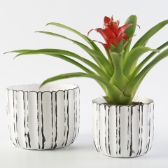 Ceramic Flower Pot Modern Style Warm Gift for Friend Flower Plant Pot