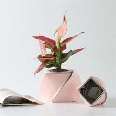 Pink Irregular Flower Pots INS Succulent Flower Pots Supplier Christmas Flower Pot Indoor Outdoor