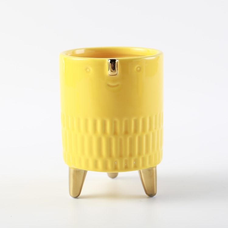 Modern Flower Pots Face Pot Flower Succulent Flower Pots for Living Room