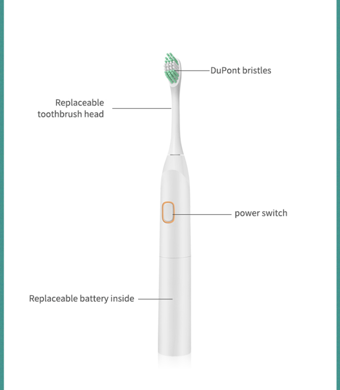 Explosive Private Film Kangtu Electric Toothbrush Adult Non-Rechargeable Ultrasonic Vibrating Toothbrush