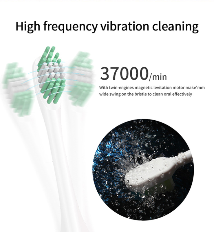Explosive Private Film Kangtu Electric Toothbrush Adult Non-Rechargeable Ultrasonic Vibrating Toothbrush