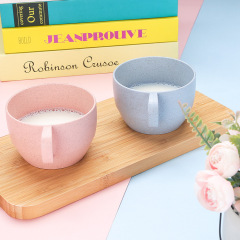 Eco-friendly biodegradable wheat kettle set coffee milk cup Nordic four colors drinkware tea cups & saucers