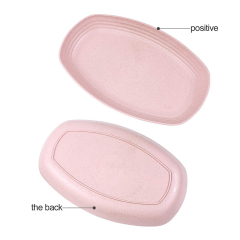 Eco-friendly Wheat Straw 4 Color Fish Plate Rectangle Wheat Straw Fish Plate Cutlery Set Food Dessert Plate