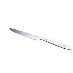 Sales promotion Stainless Steel Cutlery set in Silver Mirror Polished color knife