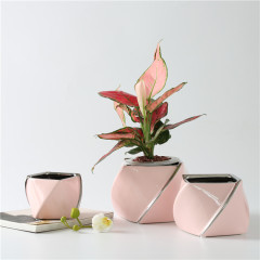 New Arrival Irregular Flower Pots INS Pink Succulent Flower Pots Supplier