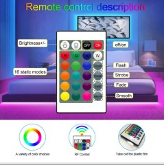 Christmas Decor Waterproof 5M 5050 12V Flexible Strip Light 24 Key Remote Control Led Strip Light Outdoor Decor