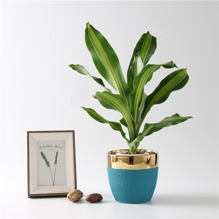 Modern Nordic Style Wholesale Cheap Price Home Decoration Ceramic Flower Pots Planters