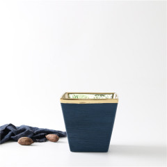 Personalized Design Gold Plating Ceramic Home Decoration Plants Pots