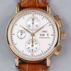 萬國柏濤菲諾型號IW3783機械男表