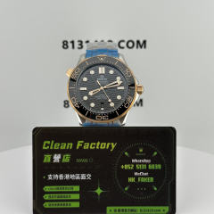 VS廠歐米茄海馬300系列玫瑰金黑面