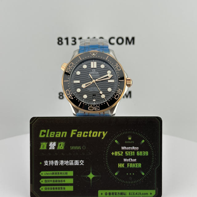 VS廠歐米茄海馬300系列玫瑰金黑面