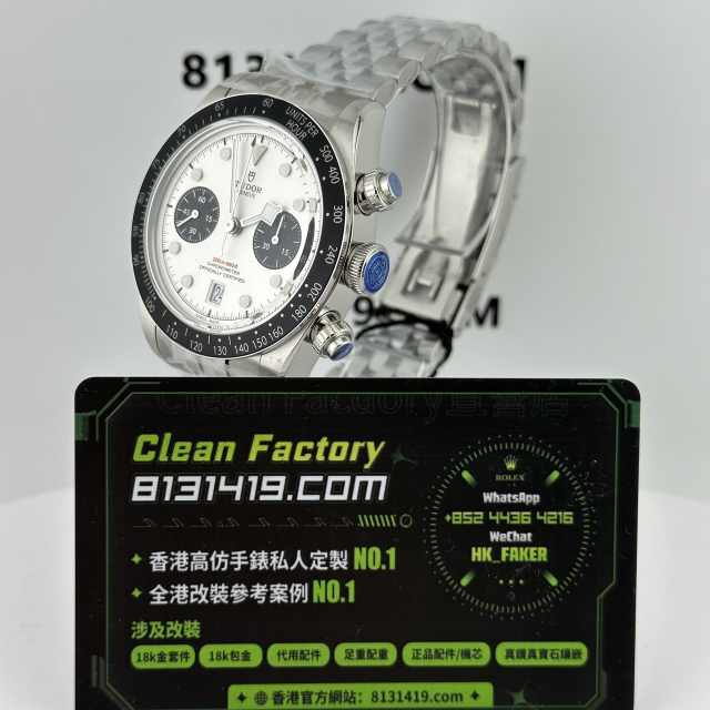 ZF廠Tudor帝舵碧灣系列m79360n-0014白熊貓計時腕錶