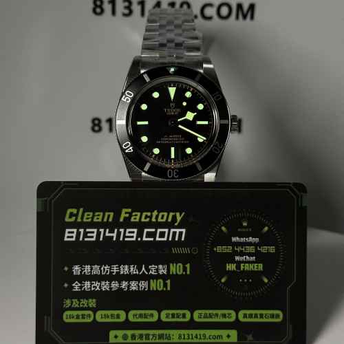 ZF廠Tudor帝舵碧灣系列M79000N-0001五銖帶