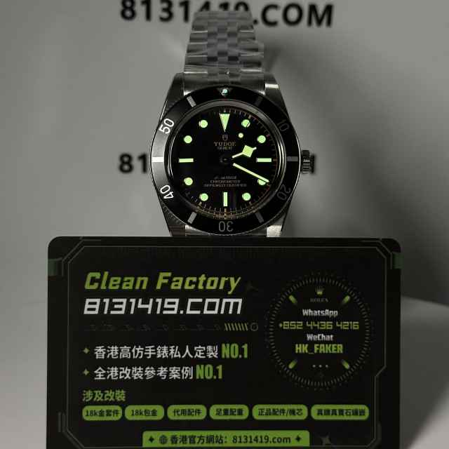 ZF廠Tudor帝舵碧灣系列M79000N-0001五銖