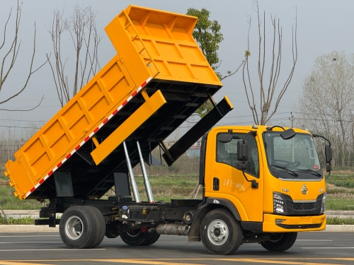 Factory Direct Sale Price New Dongfeng Mini Truck 4x2 180HP Euro 3 Light Lorry Truck Dump Cargo Truck for Sale