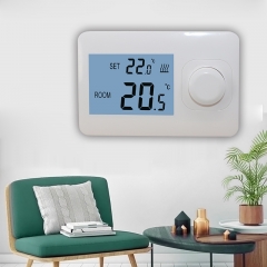 Simple Digital Boiler Thermsotat with Horizontal&Vertical Display