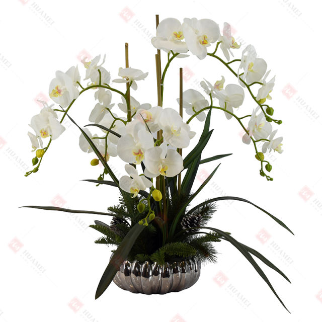 33pcs PEVA orchid with  silver ceramic pot