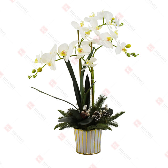 18pcs PEVA orchid  with ceramic pot