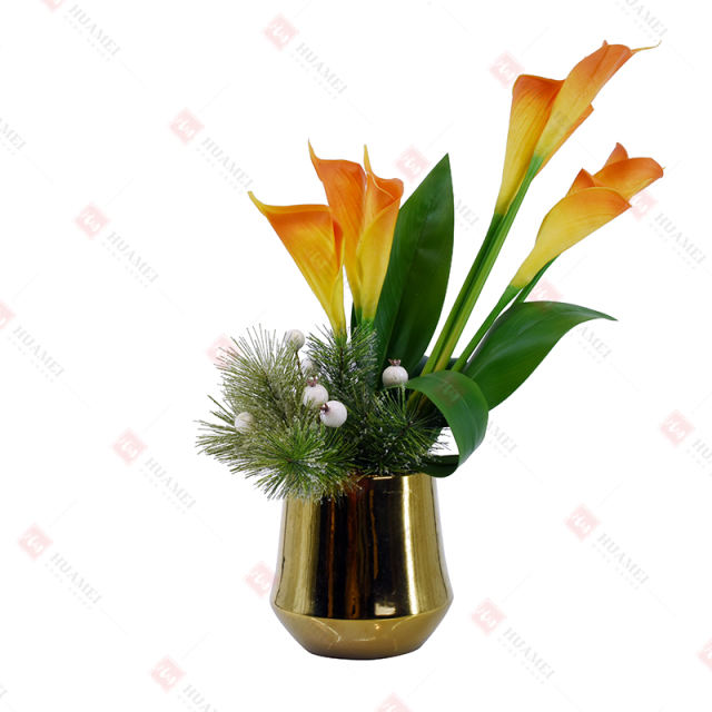 8pcs Calla lilies with  gold ceramic pot