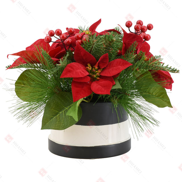 5pcs Poinsettia with ceramic pot