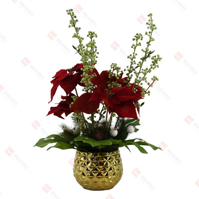 4pcs Poinsettia with gold ceramic pot