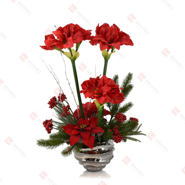 Clivia and Poinsettia with silver ceramic Pot Christmas
