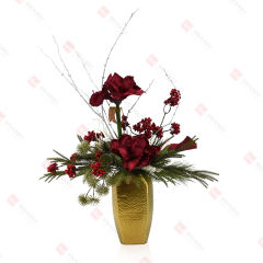 8pcs Clivia with gold ceramic Pot Christmas