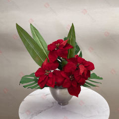 Christmas Poinsettia