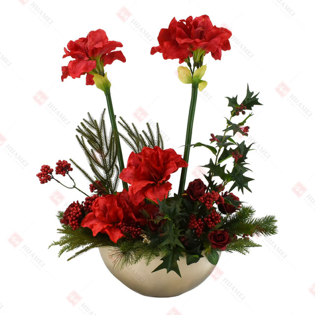 Clivia and Rose with ceramic Pot Christmas