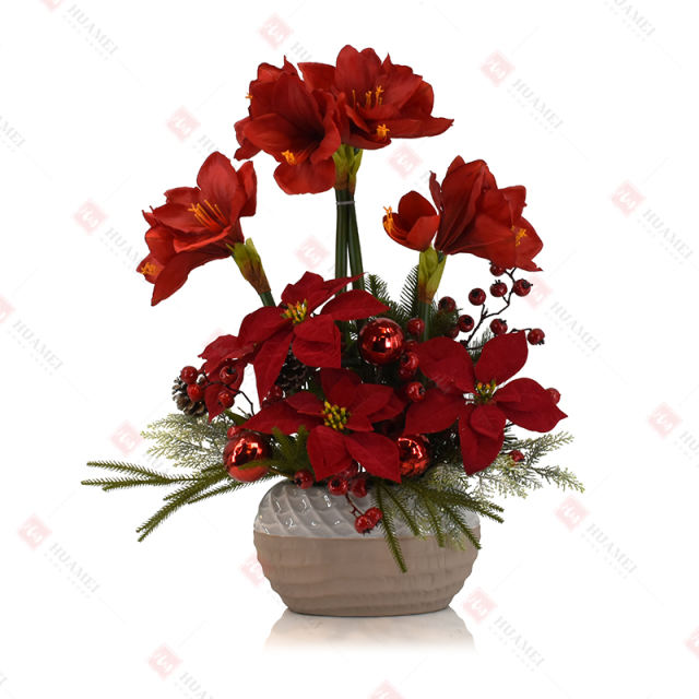 Clivia and Poinsettia with ceramic Pot Christmas