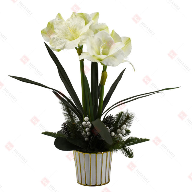 5pcs Narcissus with  ceramic pot Christmas