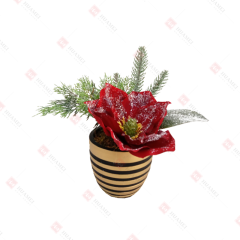 1 magnolia plant in cement basin